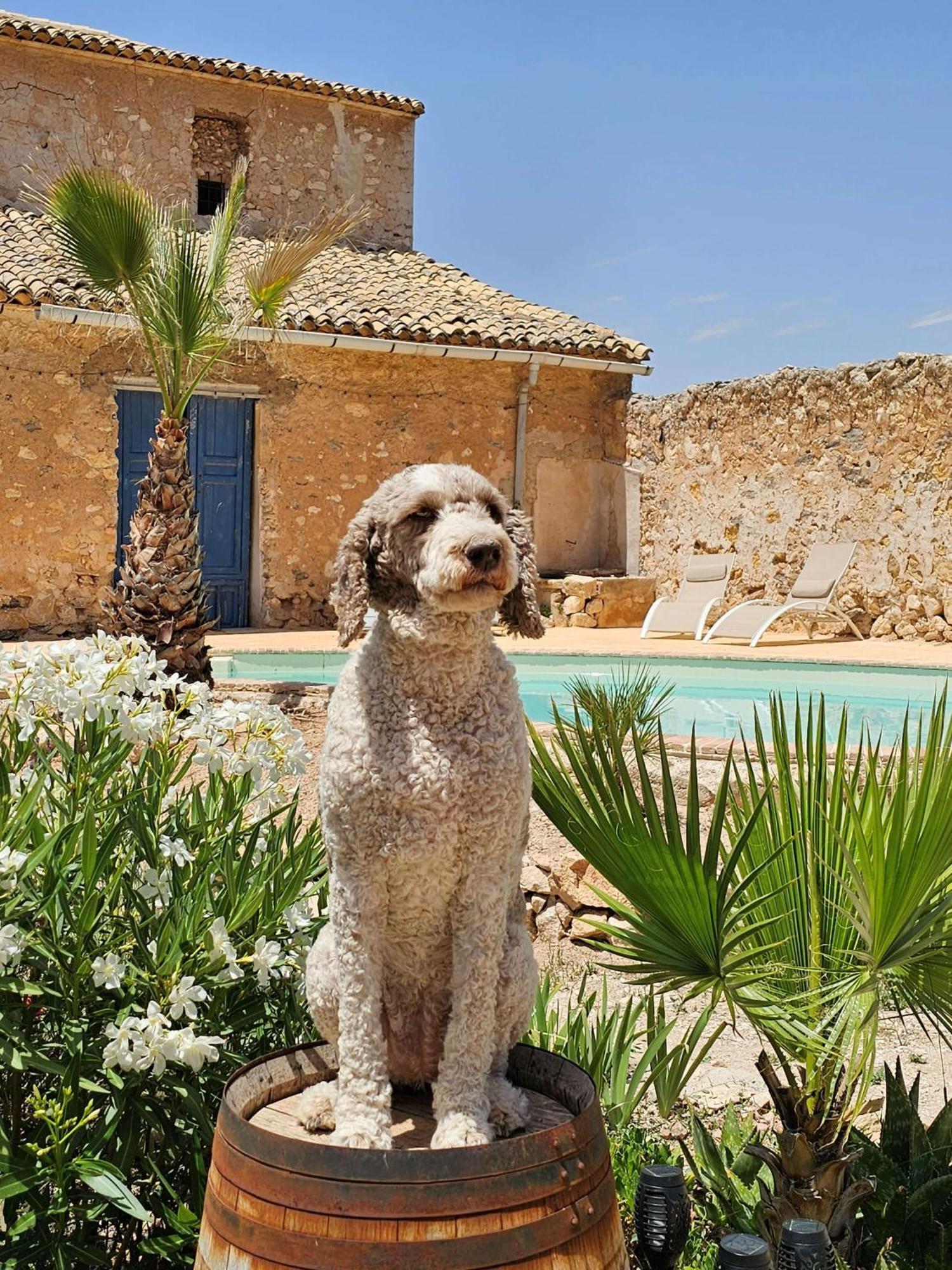 Bed & Breakfast Casa Rodriguillo